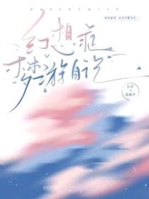 幻想症梦游日记封面