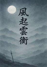 《风起云衡》封面