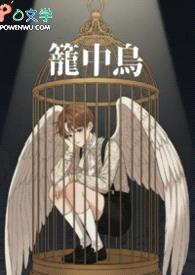 《笼中鸟》封面