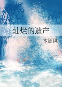 灿烂的遗产封面