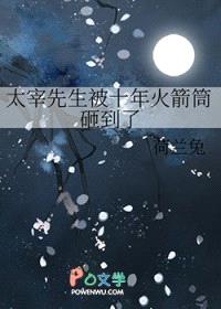 [综漫] 太宰先生被十年火箭筒砸到了封面