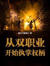 从双职业开始执掌权柄封面
