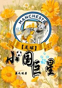 [足球] 小国巨星封面