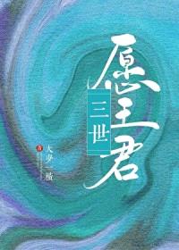 三世愿王君封面