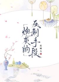 炮灰的反制手段封面