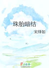 珠胎暗结封面