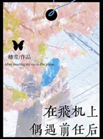 在飞机上偶遇前任后封面