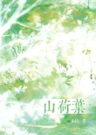 山荷叶（H）封面