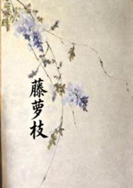 藤萝枝封面
