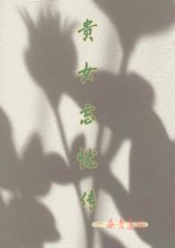 贵女忘忧传封面