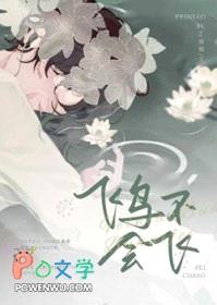 飞鸟不会飞封面