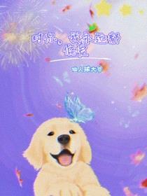 [娱乐圈同人] 对你，我永远都偏爱封面