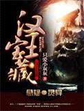 汉王宝藏封面