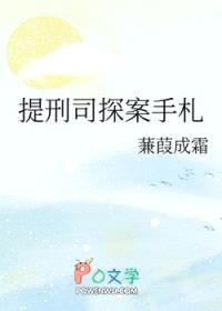 提刑司探案手札封面