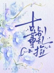 古董别乱捡封面