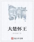 大楚怀王封面
