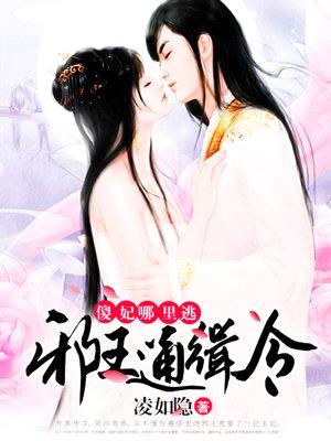 邪王通缉令：傻妃，哪里逃封面