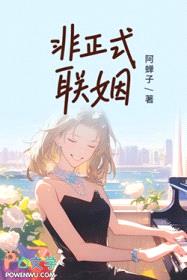 非正式联姻封面
