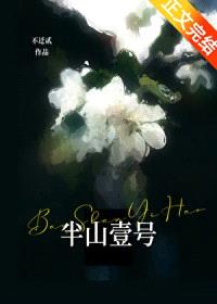 半山壹号封面