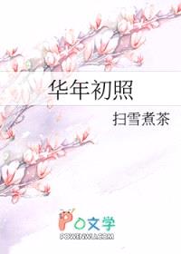 华年初照封面