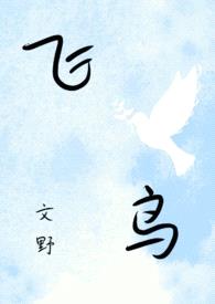 【文豪野犬】飞鸟封面