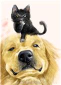 穿成猫后靠玄学爆红封面