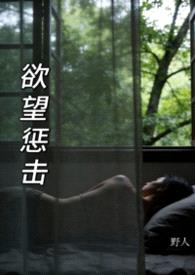 欲望惩击（h各种短篇系列）封面