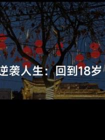 逆袭人生：回到18岁封面