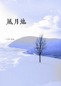 风月地封面