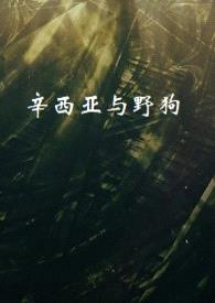 辛西亚与野狗封面