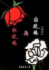 红玫瑰与白玫瑰封面