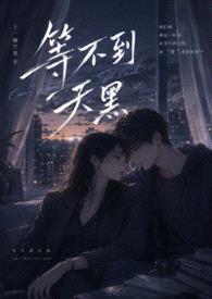 等不到天黑（年下1V1）封面