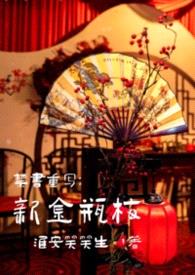 禁书重写：新金瓶梅封面