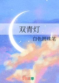 双青灯封面