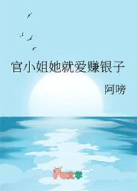官小姐她就爱赚银子封面