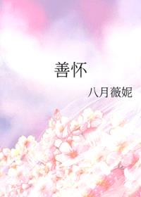 善怀封面