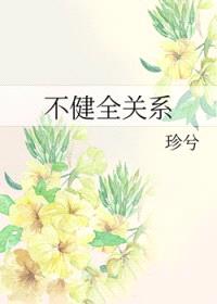 不健全关系封面