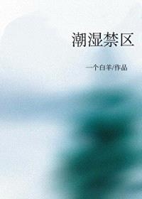 潮湿禁区封面