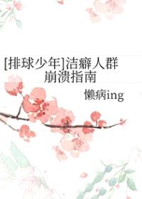 [排球少年] 洁癖人群崩溃指南封面