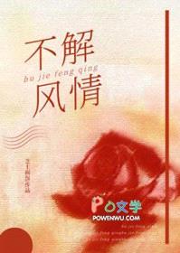 不解风情封面