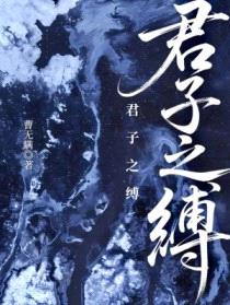 君子之缚封面