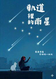 轨道里的南星封面