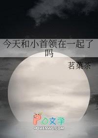 [综漫] 今天和小首领在一起了吗封面