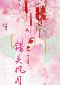 错关风月封面
