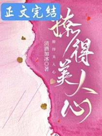 撩得美人心封面