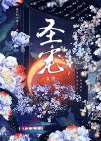 圣宠（女尊）封面