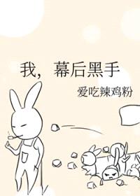 我，幕后黑手封面