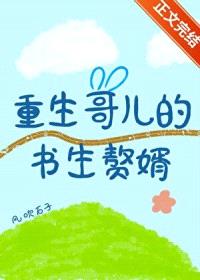 重生哥儿的书生赘婿封面