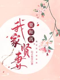 我家爱妻要和离封面