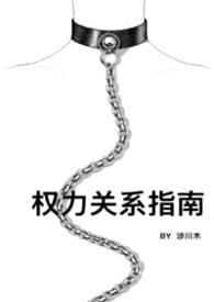 权力关系指南(BDSM)封面